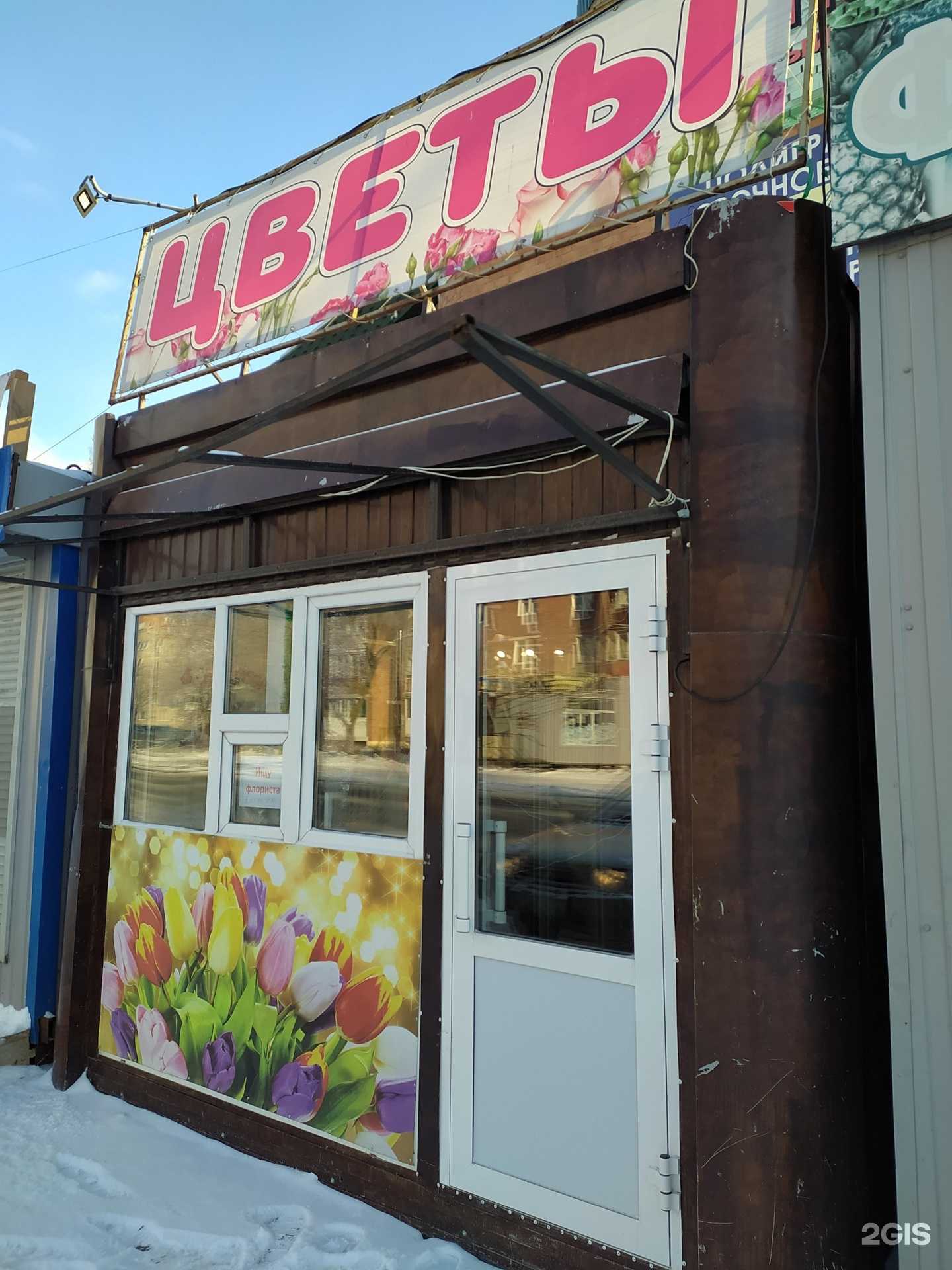 Отзывы на компанию Алый цвет в Омске c фото