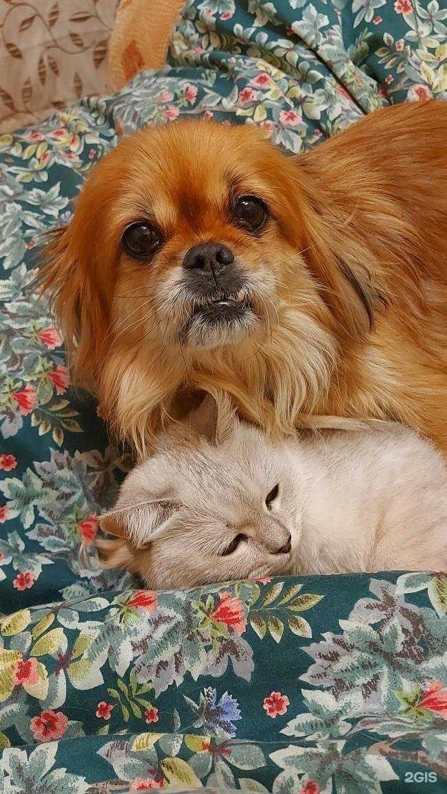 Отзывы на компанию Афина в Волгограде c фото