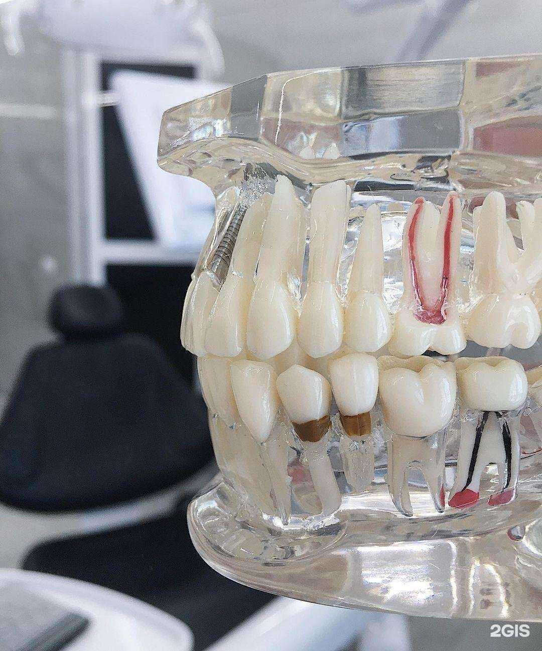 Отзывы на компанию Сибдент в г. Новый Уренгой c фото