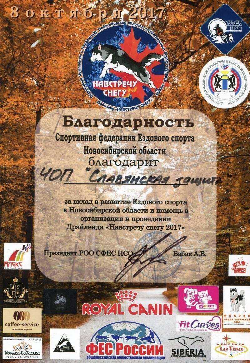 Отзывы на компанию Славянская защита в г. Новосибирск c фото