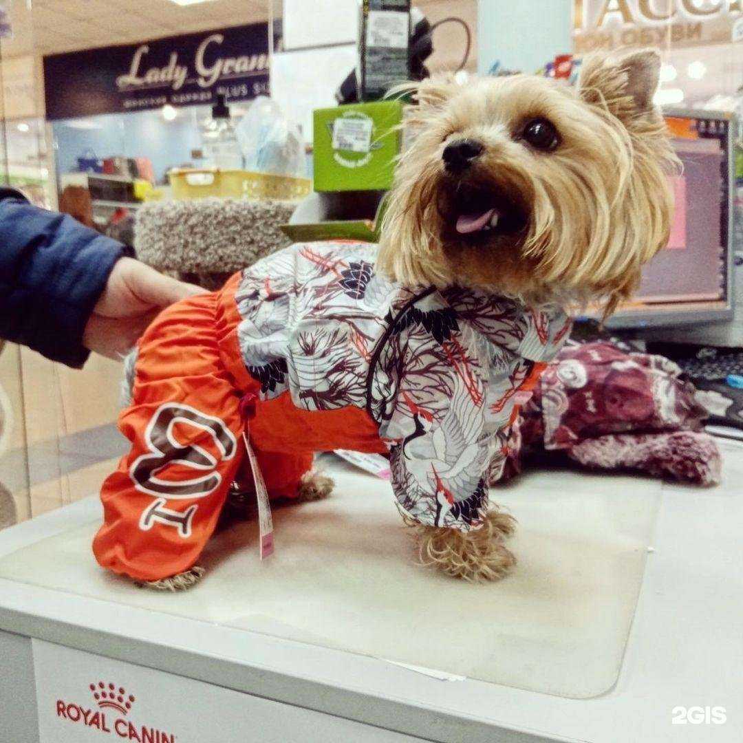 Отзывы на компанию Зоопарк в г. Самара c фото