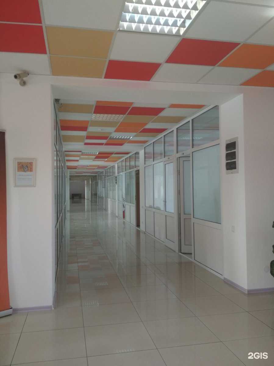 Отзывы на компанию Новое Телевидение Сибири в г. Иркутск c фото