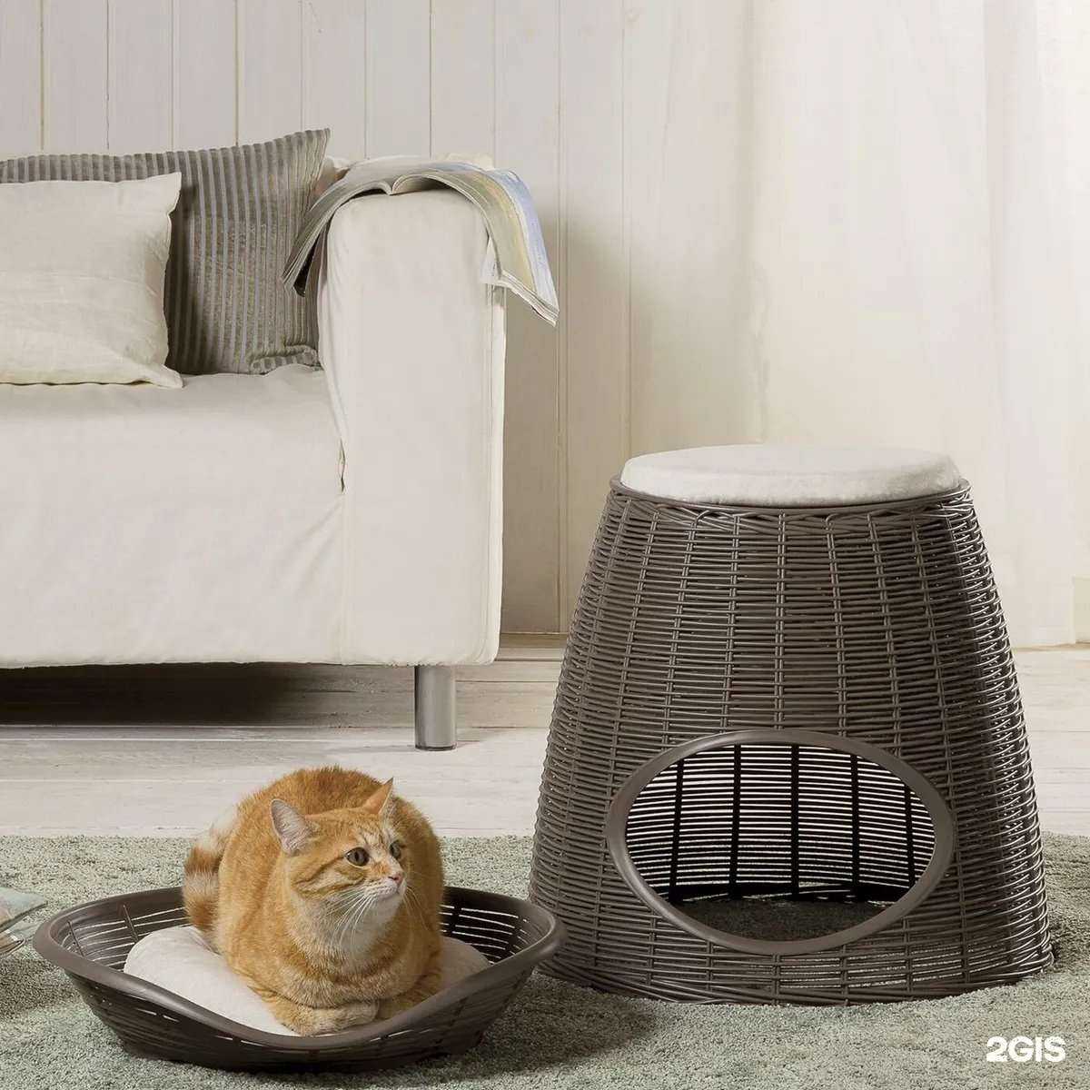 Отзывы на компанию Луна в Ижевске c фото