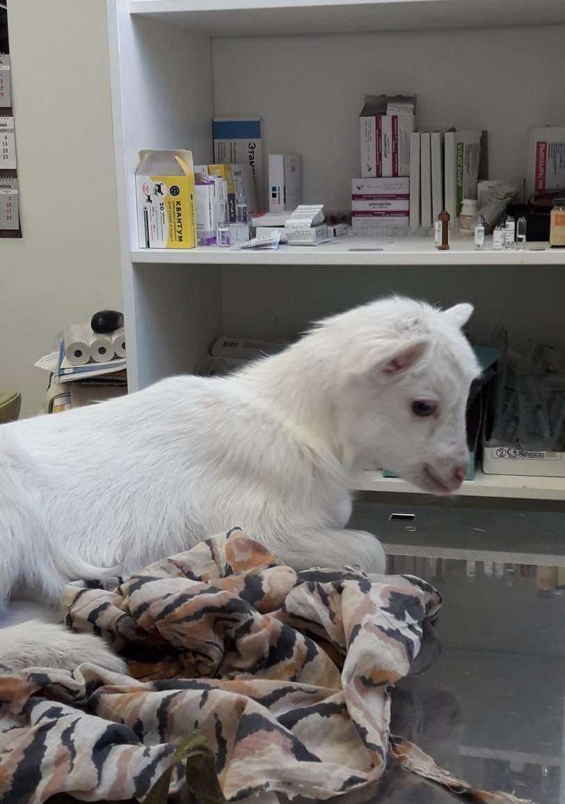 Отзывы на компанию На Карбышева в г. Казань c фото