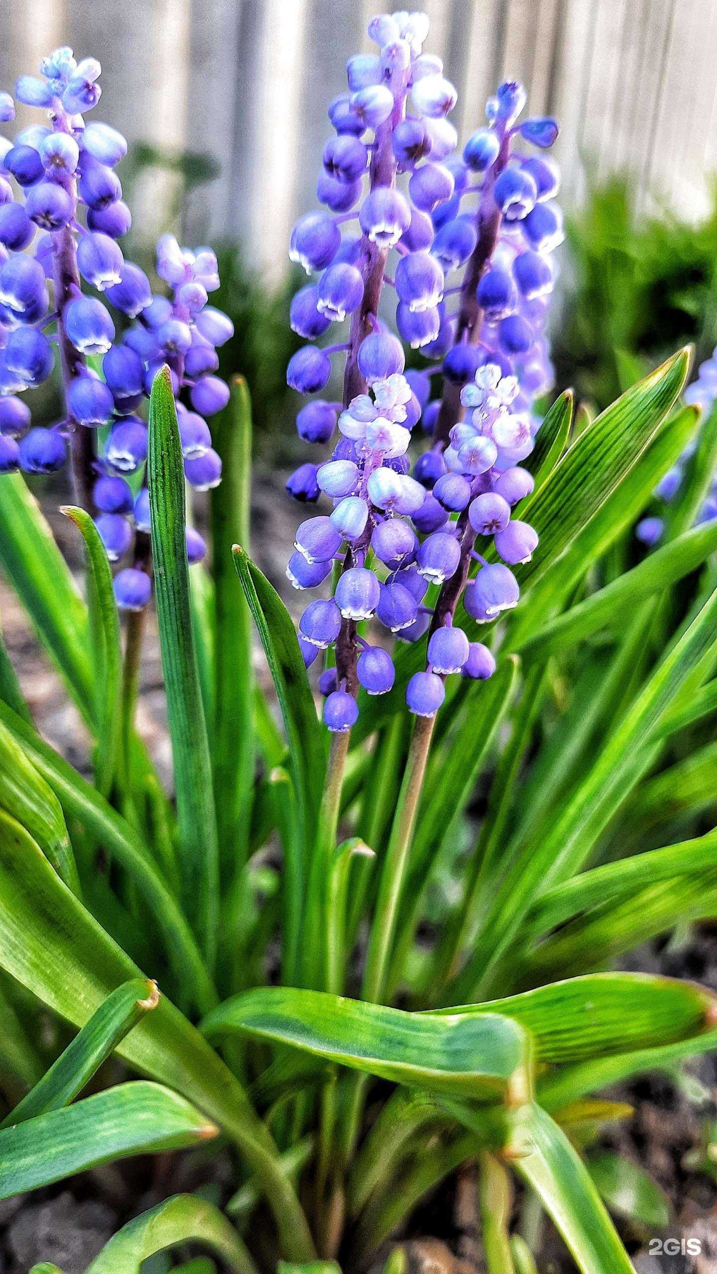 Отзывы на компанию Маргарита в Орле c фото - фотография 2 из 2