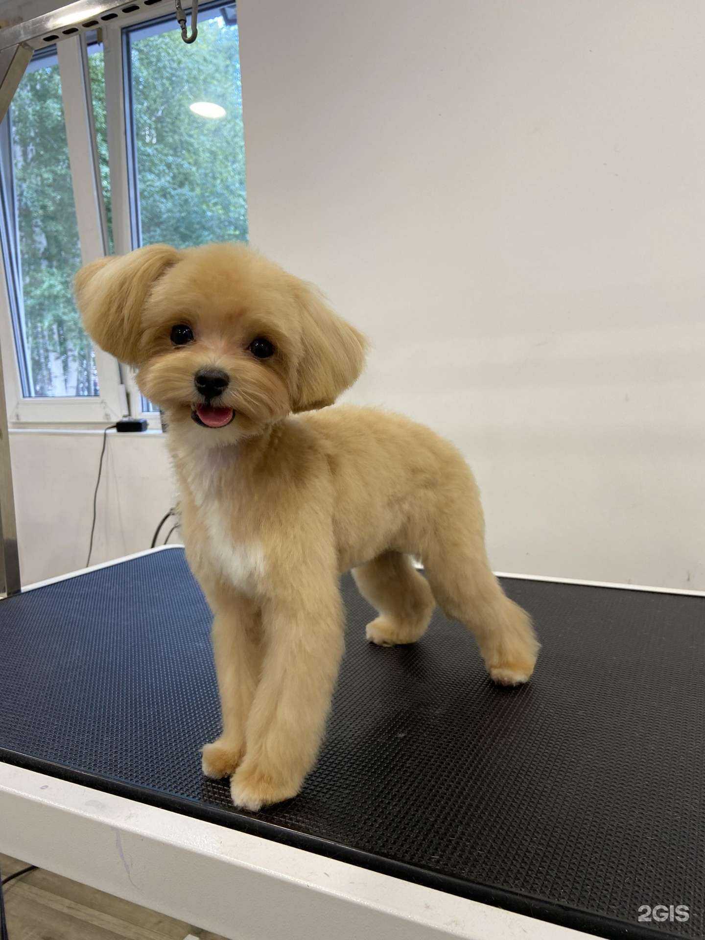 Отзывы на компанию L`ubimka в г. Сургут c фото