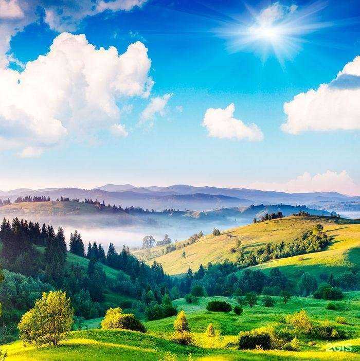 Отзывы на компанию Бумбаса в Вологде c фото