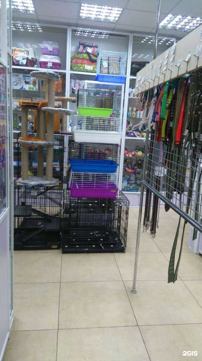 Отзывы на компанию Какаду в Комсомольске-на-Амуре c фото