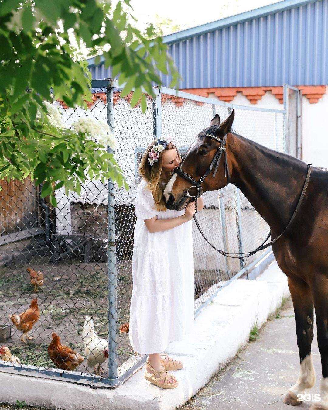 Отзывы на компанию Фелиция в Кемерове c фото