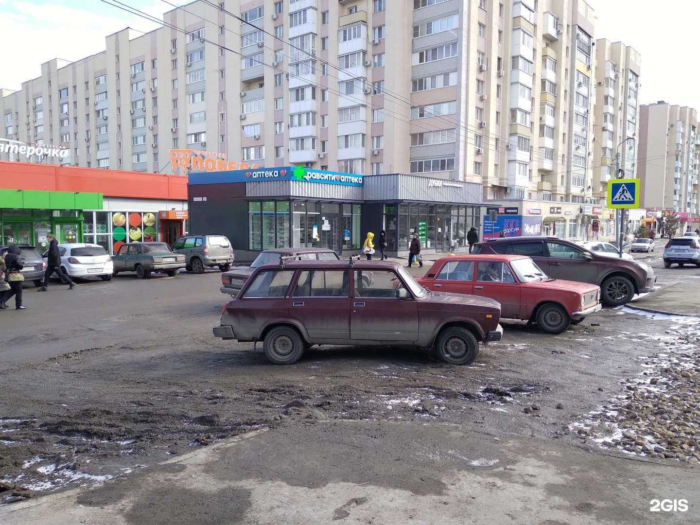 Отзывы на компанию Дубки в Саратове c фото - фотография 2 из 2