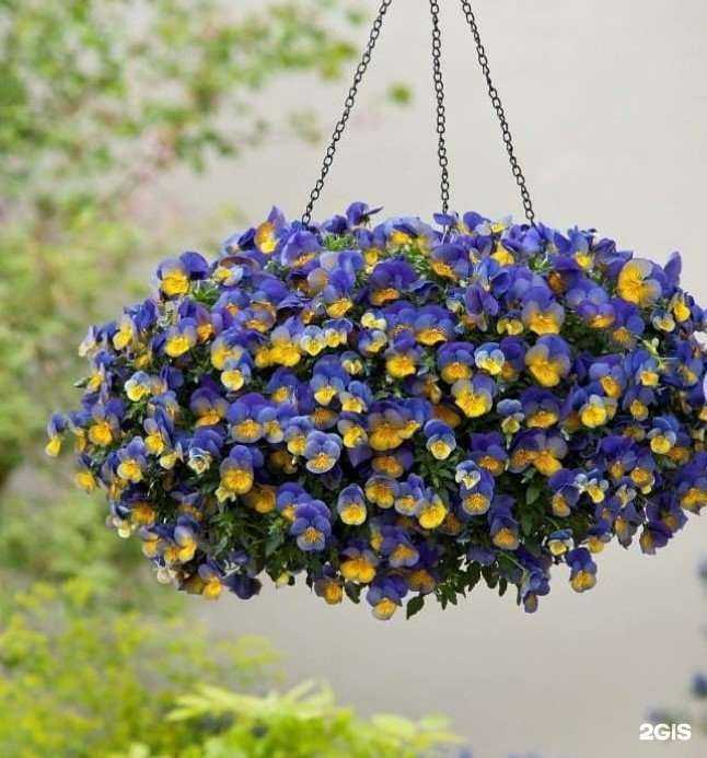 Отзывы на компанию Top garden в Новокузнецке c фото