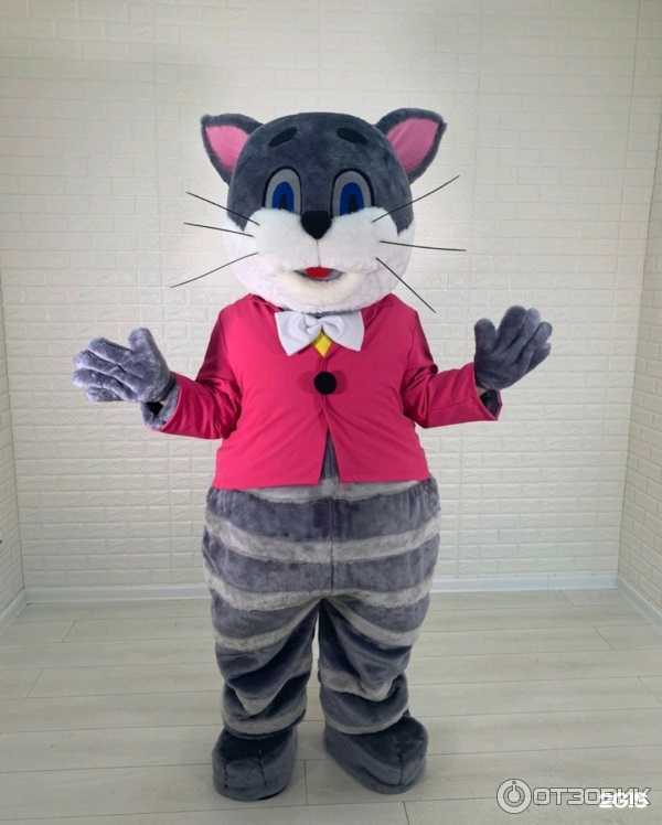 Отзывы на компанию Котёнок в Павлове c фото