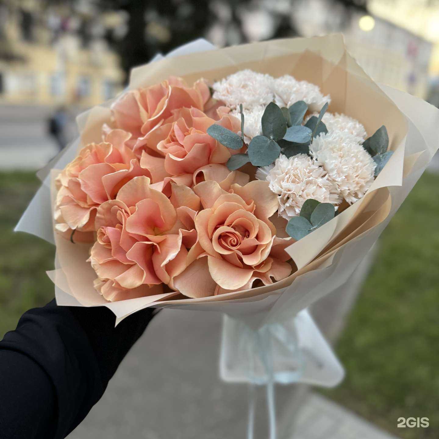 Отзывы на компанию Shine в г. Кострома c фото