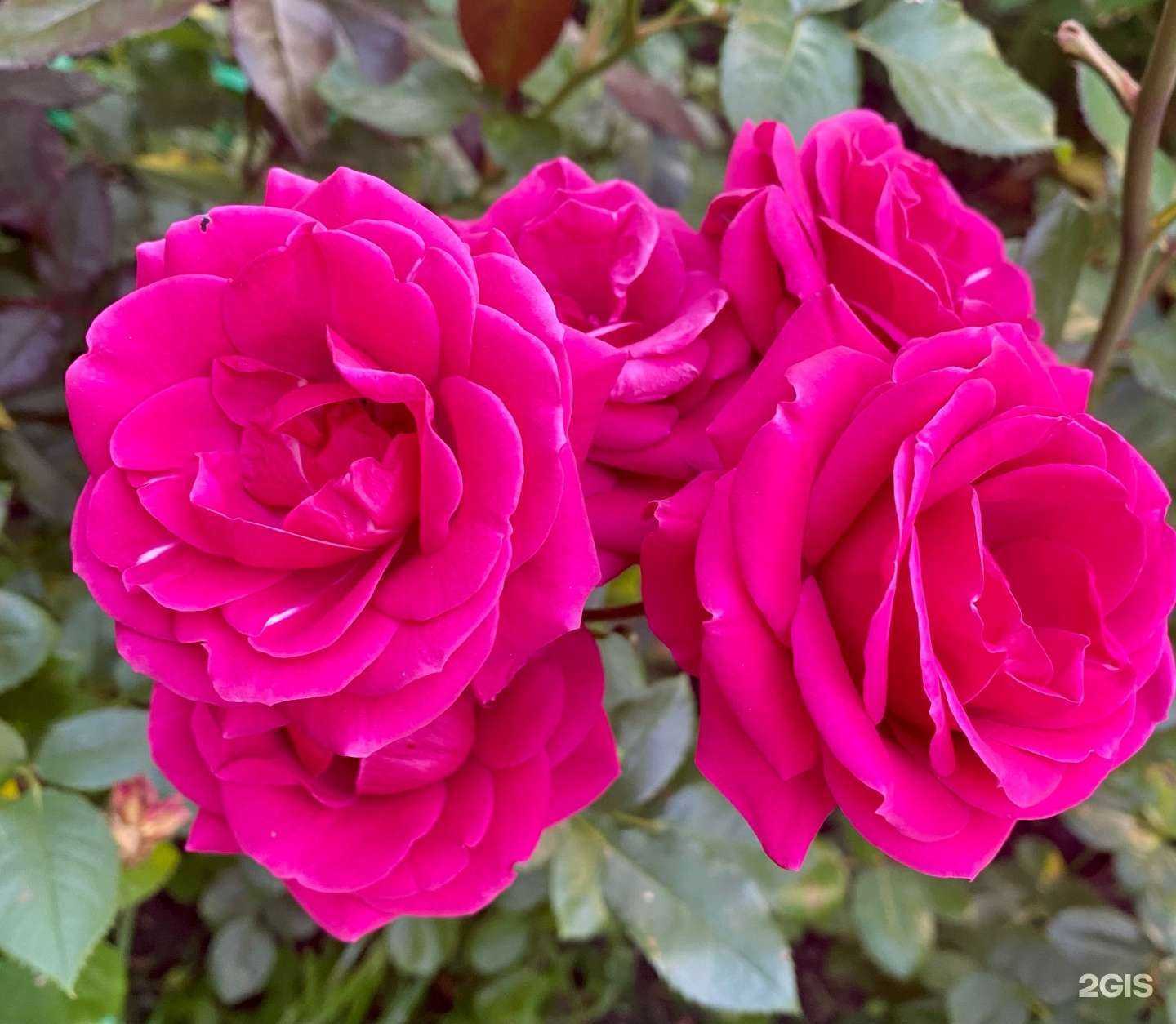 Отзывы на компанию ZemlyaNika в г. Геленджик c фото