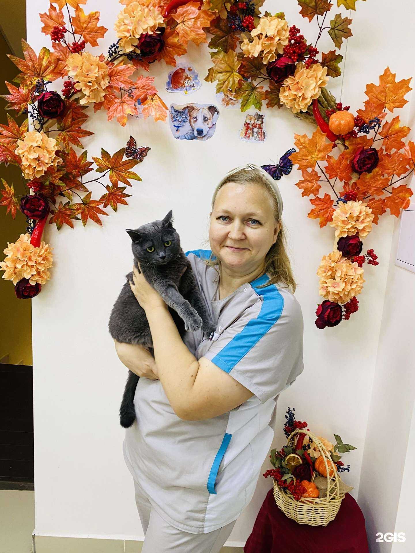 Отзывы на компанию Дубрава в Казани c фото