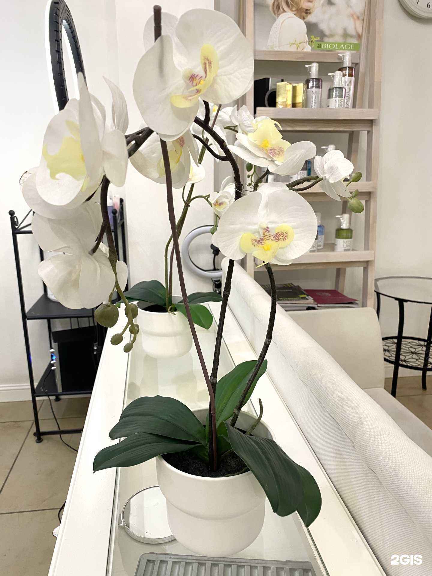 Отзывы на компанию Кабинет косметик-эстетиста Ольги Моисеевой в Саратове c фото