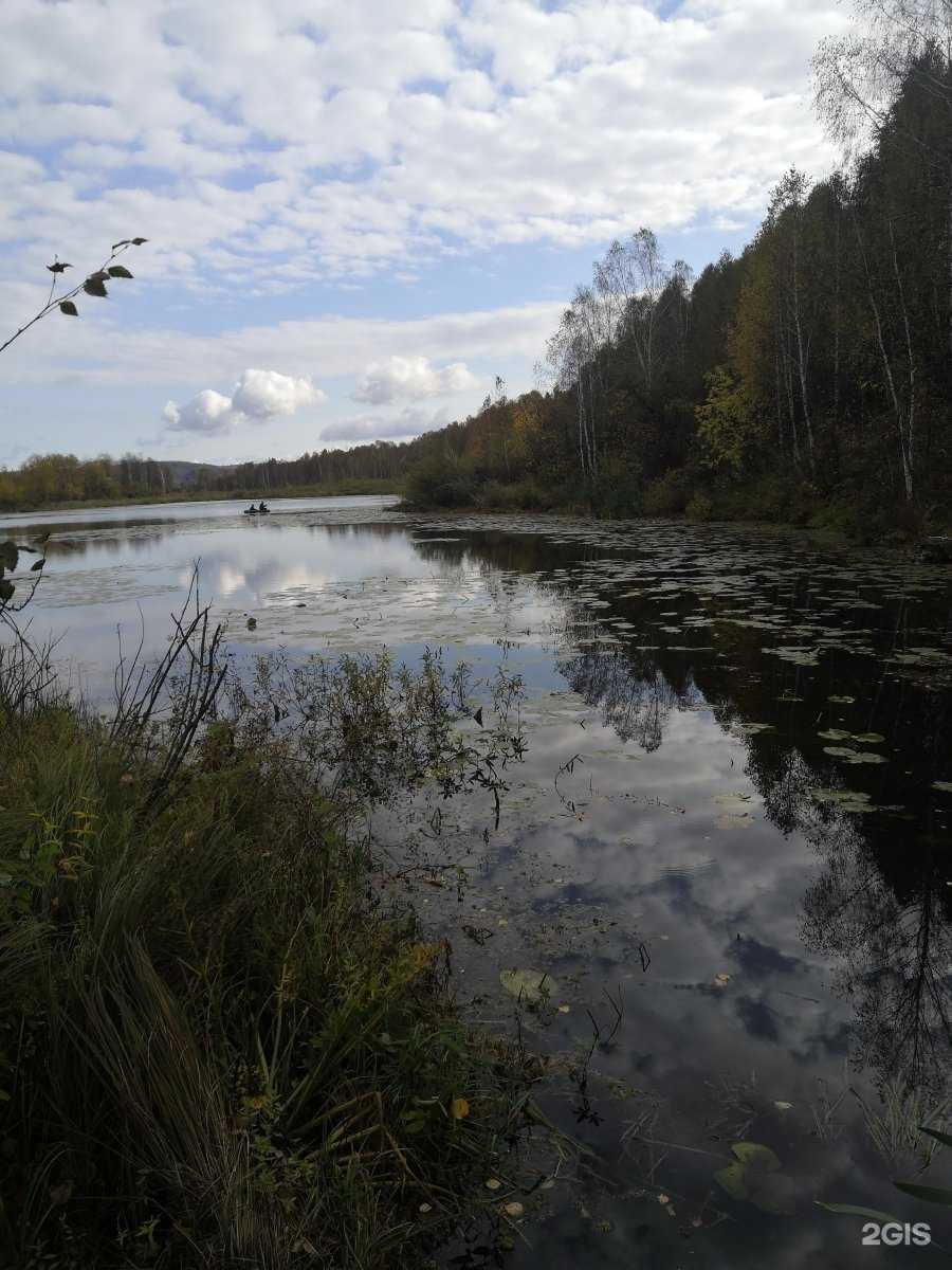 Отзывы на компанию Сибирский в г. Новокузнецк c фото