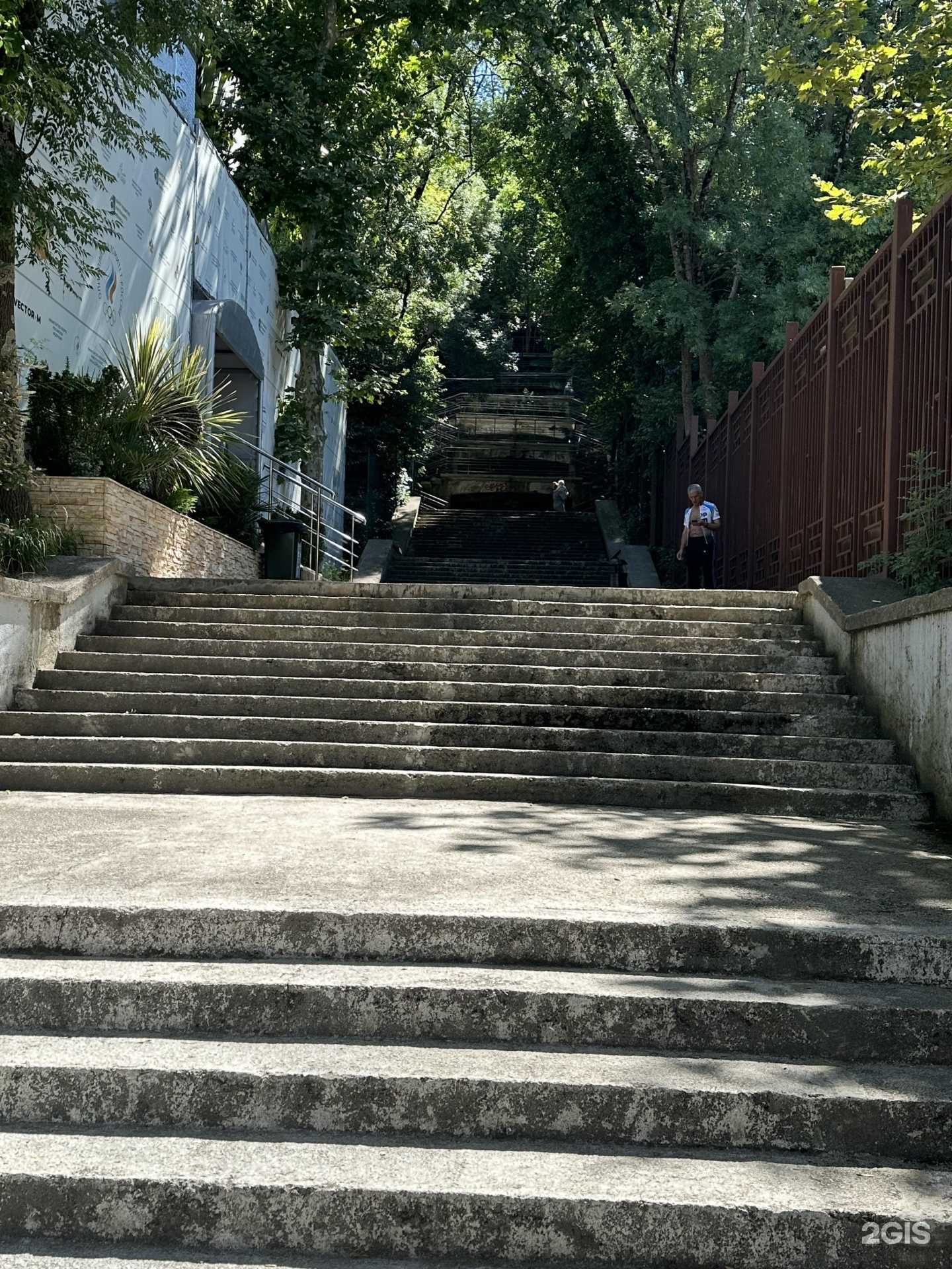 Отзывы на компанию Одаренные дети Сочи в Сочи c фото - фотография 2 из 2