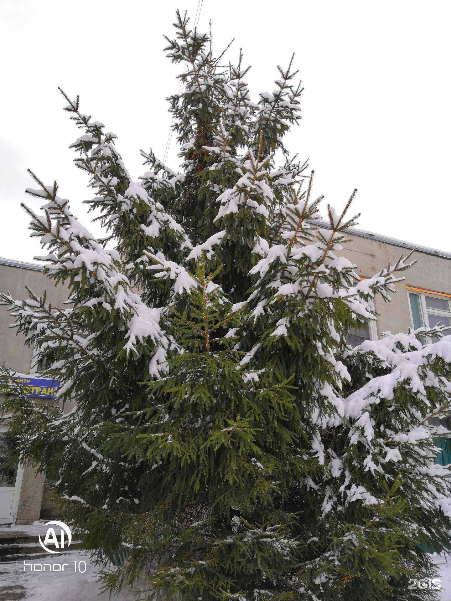 Отзывы на компанию Московия в Ульяновске c фото - фотография 2 из 2