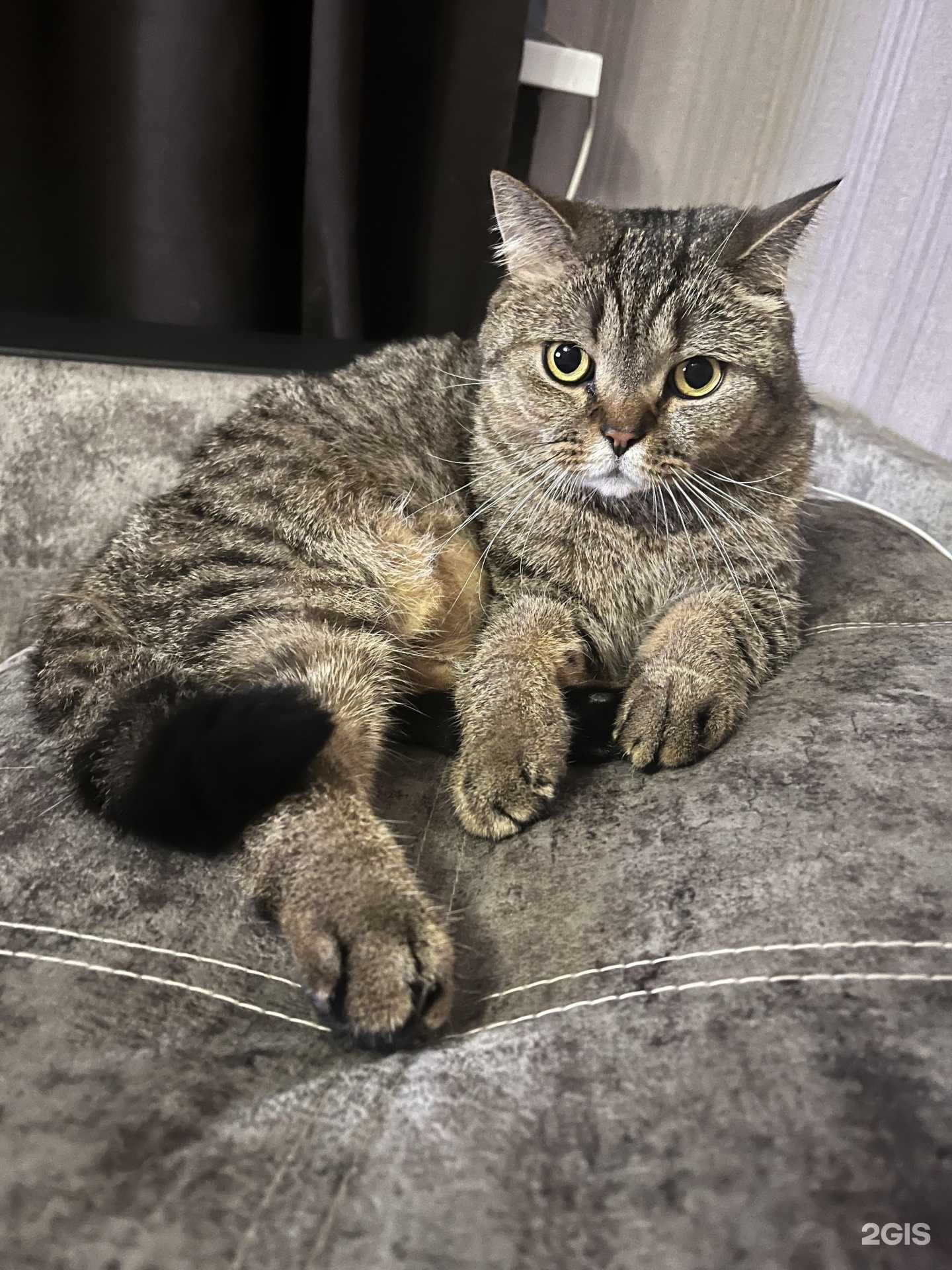 Отзывы на компанию Управление ветеринарии Белореченского района в г. Белореченск c фото