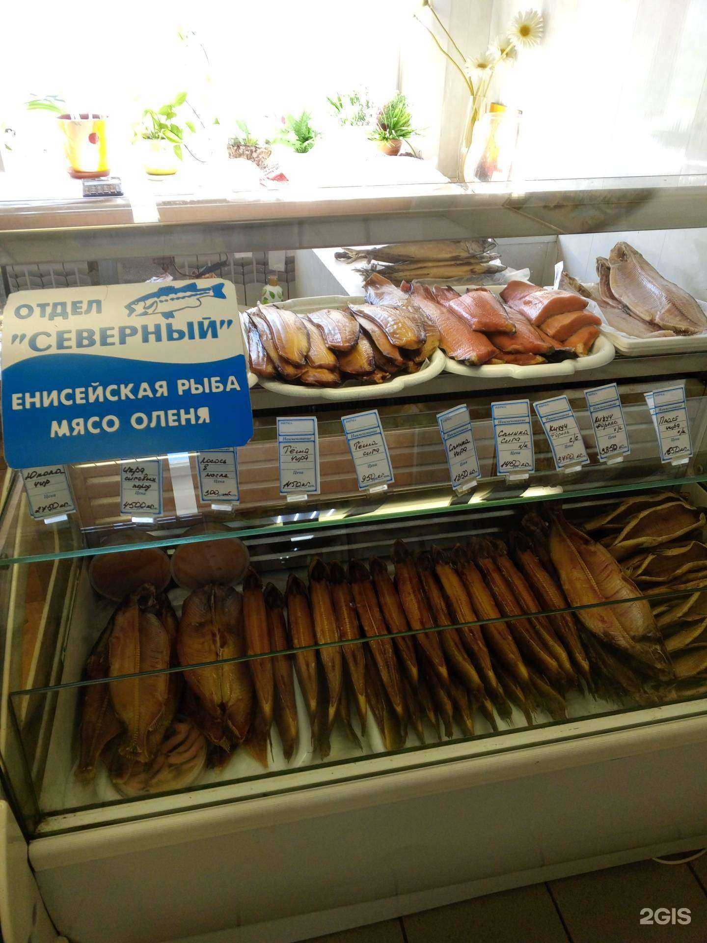 Отзывы на компанию Северный в г. Норильск c фото