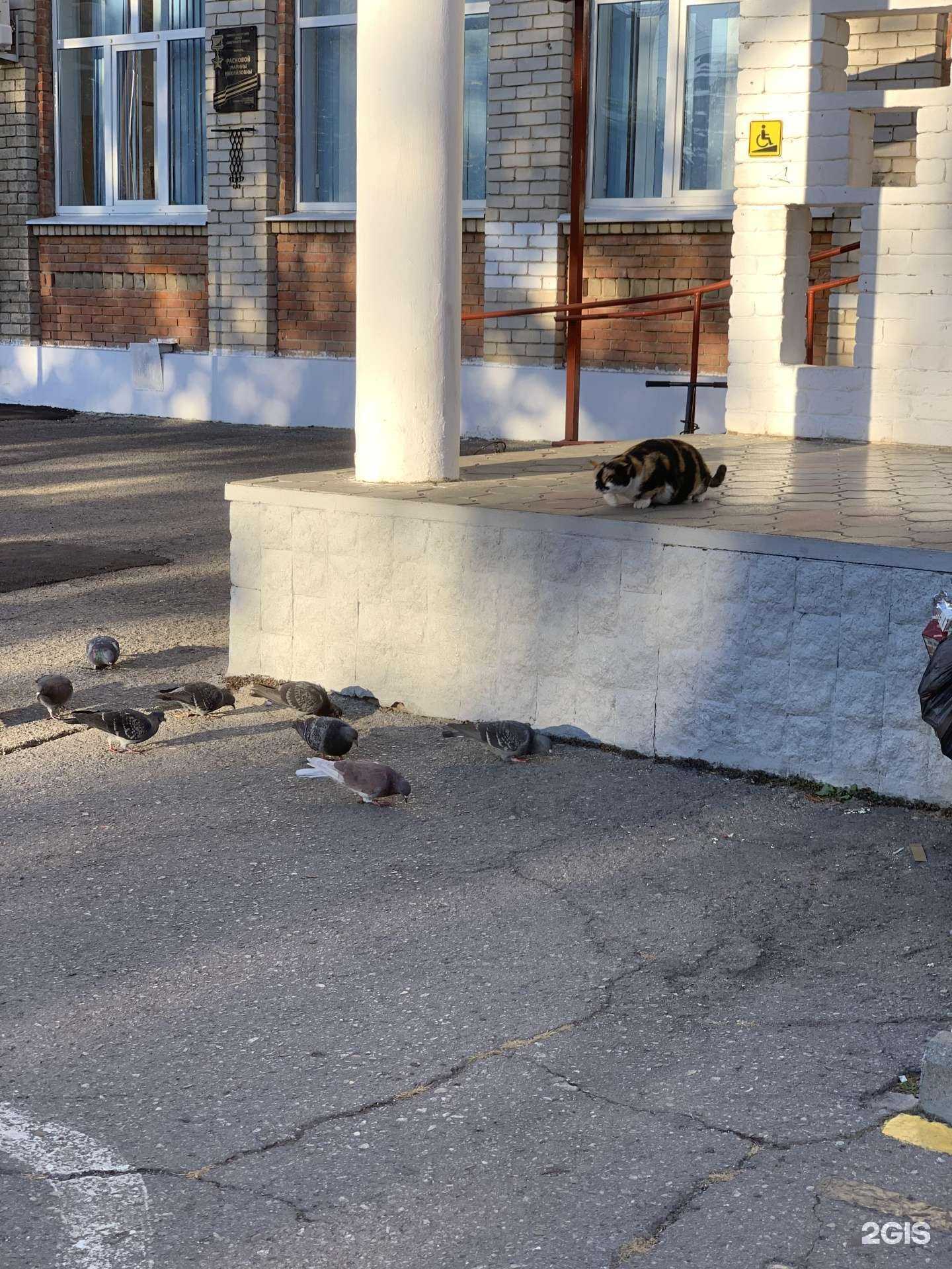 Отзывы на компанию Средняя школа №19 в г. Краснодар c фото