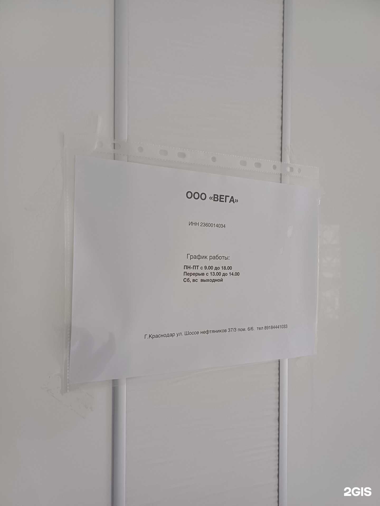 Отзывы на компанию Вега в Краснодаре c фото