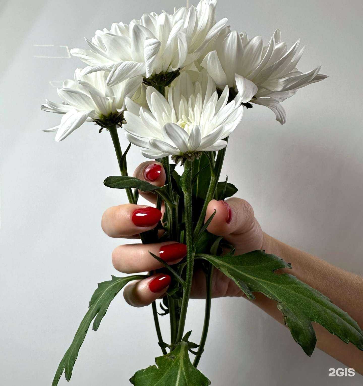 Отзывы на компанию Lucky Star в Калининграде c фото