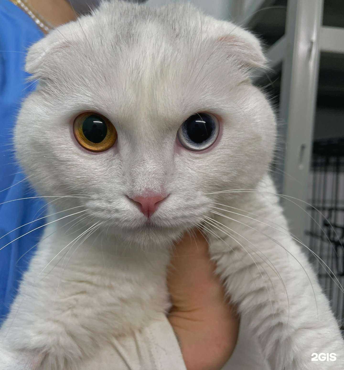 Отзывы на компанию Финист в Астрахани c фото