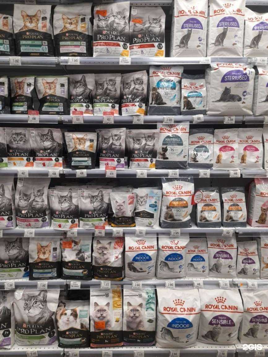 Отзывы на компанию Зоозавр в Рязани c фото