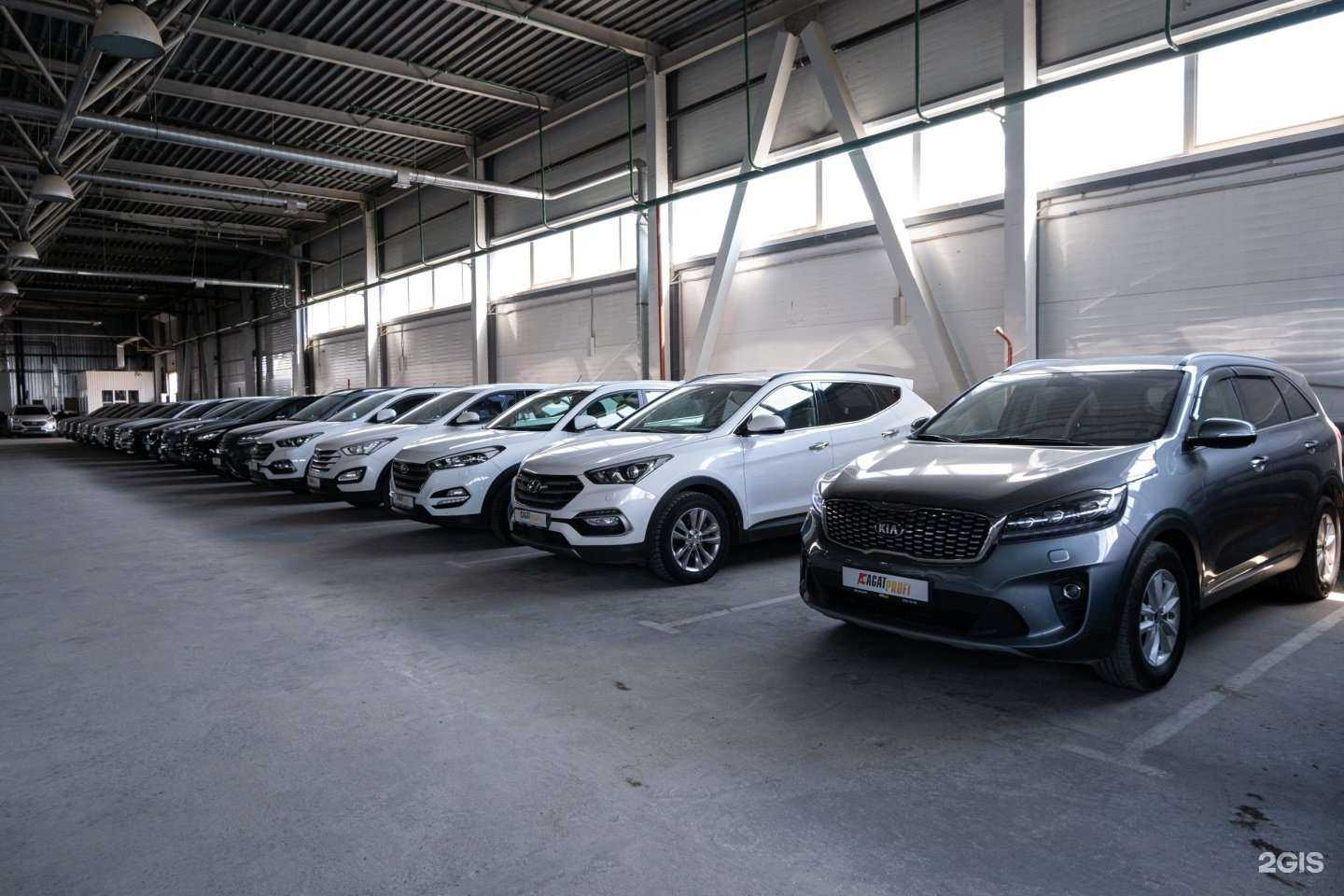 Отзывы на компанию Agat profi в Волгограде c фото