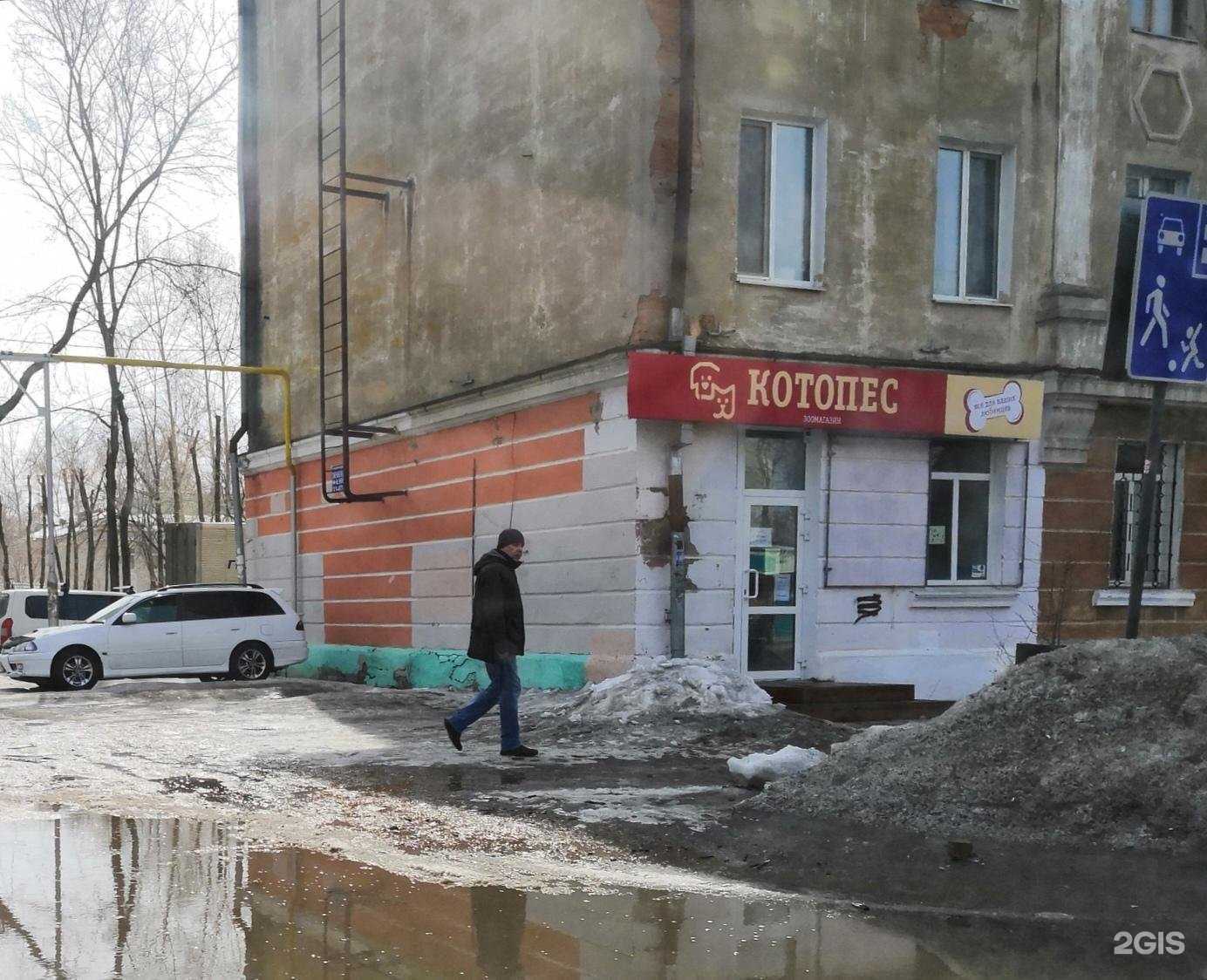 Отзывы на компанию Котопес в Комсомольске-на-Амуре c фото