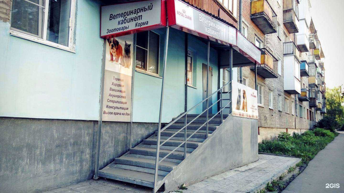 Отзывы на компанию Верный друг в Дзержинске c фото