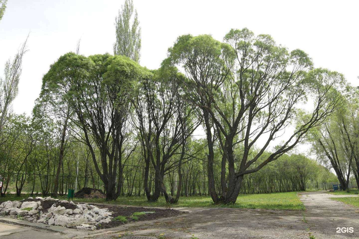 Отзывы на компанию Ариадна в Тольятти c фото