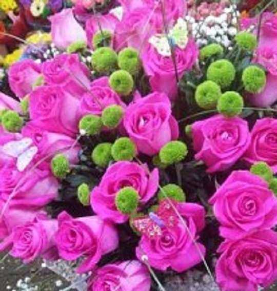 Отзывы на компанию Натали в Астрахани c фото