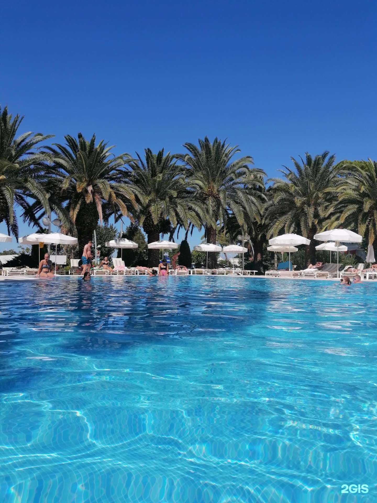 Отзывы на компанию Пальма в Нижневартовске c фото