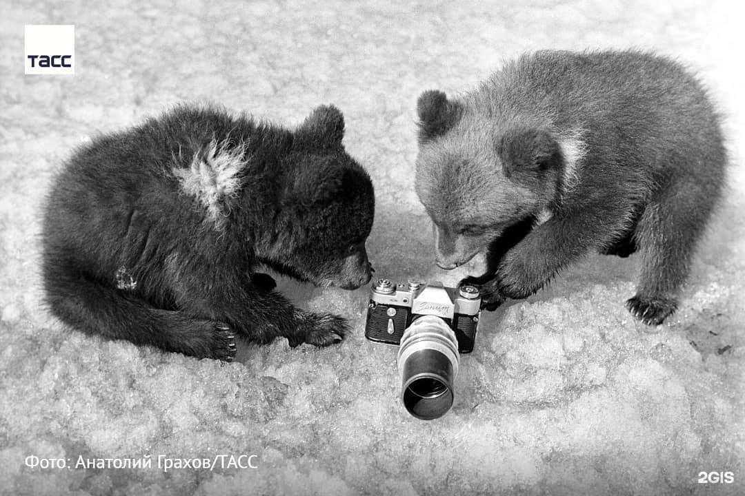 Отзывы на компанию Darbu в Ростове-на-Дону c фото