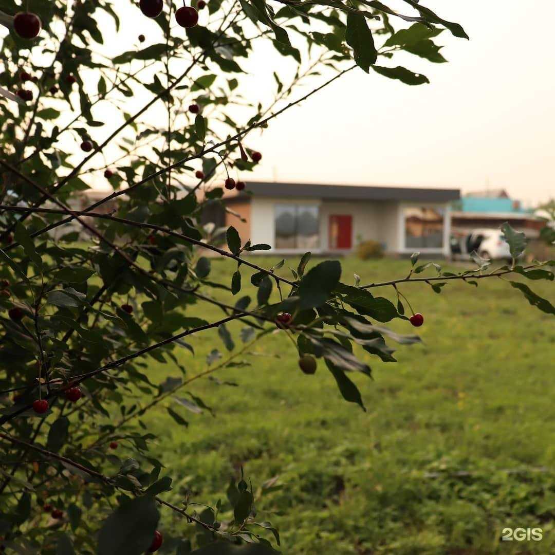 Отзывы на компанию Puff House в Челябинске c фото