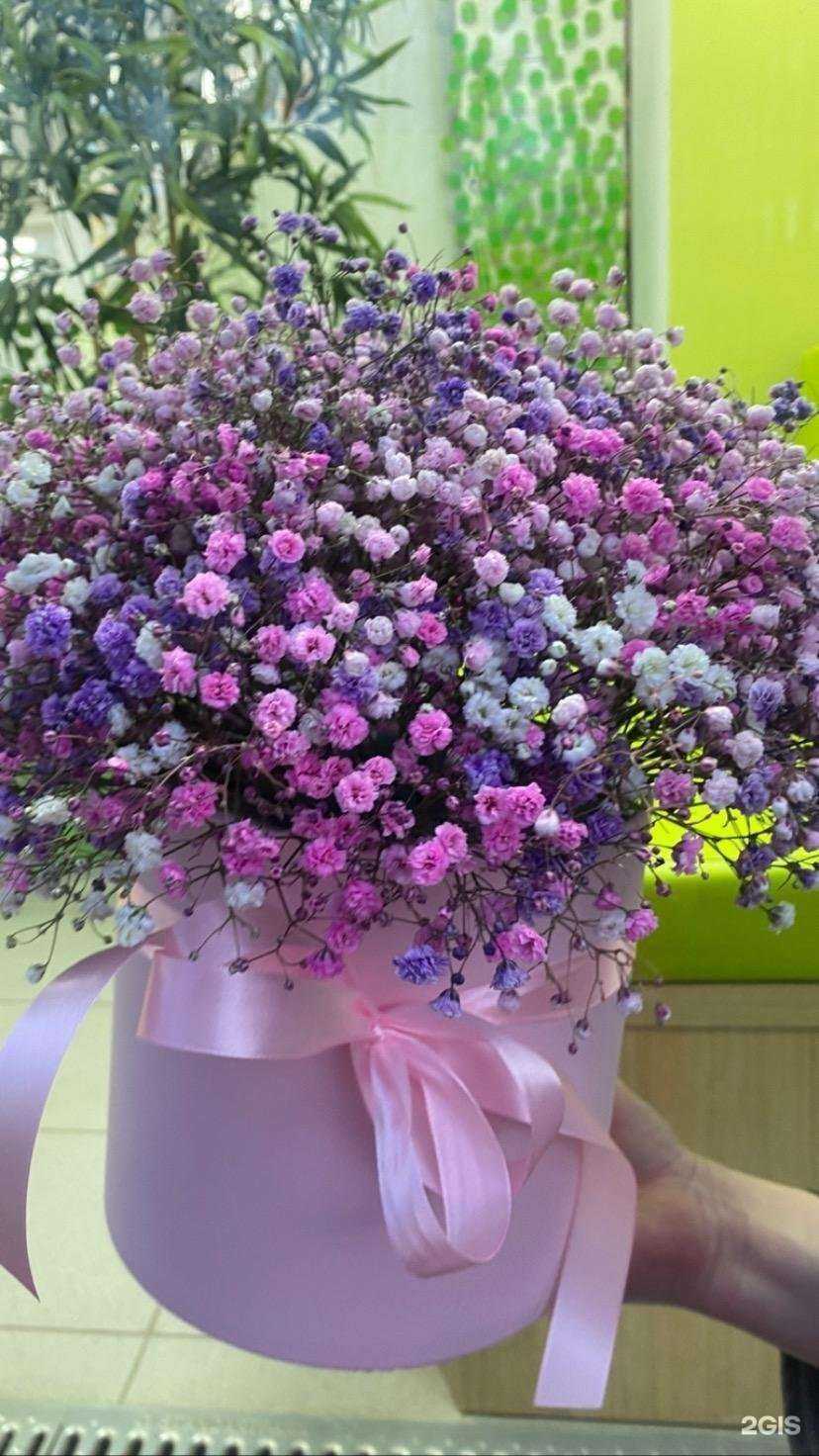 Отзывы на компанию Дом цветов в Твери c фото