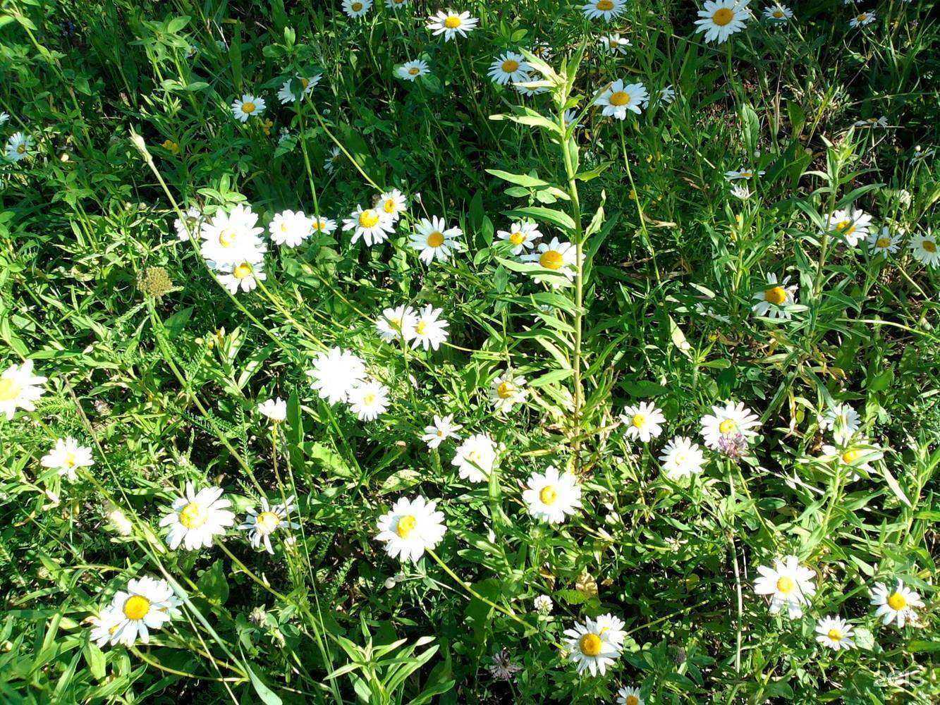 Отзывы на компанию Агрокомплект+ в Перми c фото