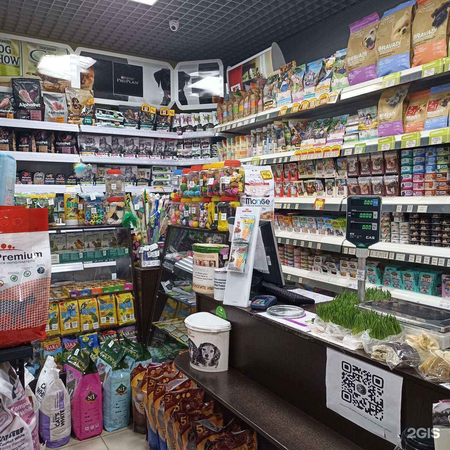 Отзывы на компанию Кот и Пёс в Тейкове c фото