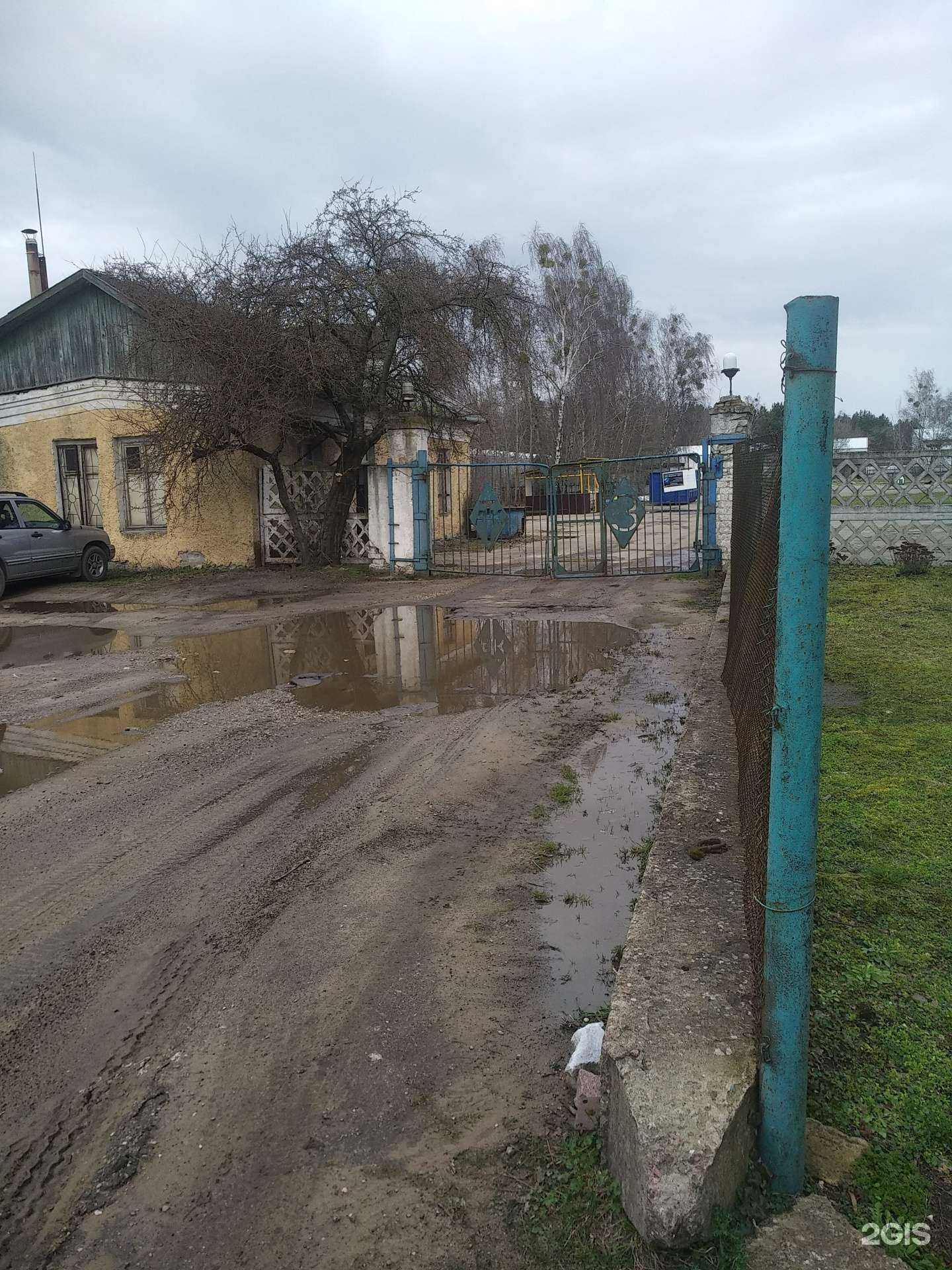 Отзывы на компанию Флор в г. Светлый c фото