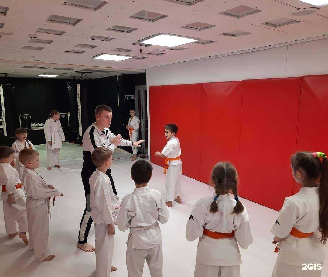Отзывы на компанию Киокусинкай каратэ-до в Нижневартовске c фото