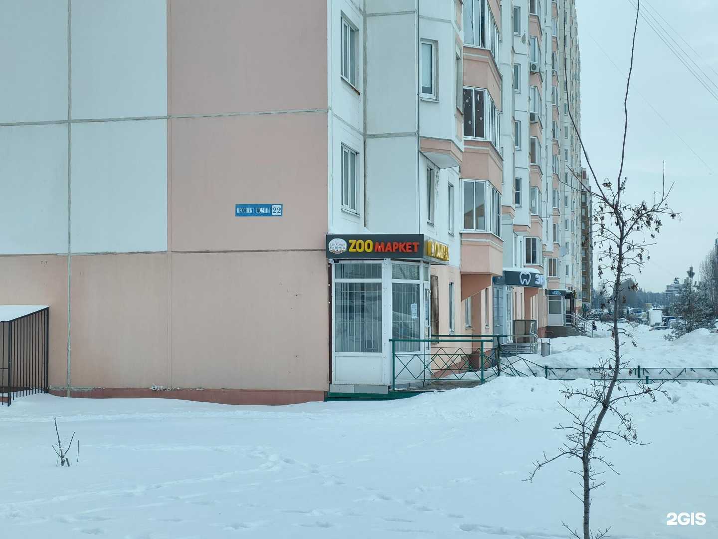 Отзывы на компанию Стильный питомец в Курске c фото - фотография 2 из 2