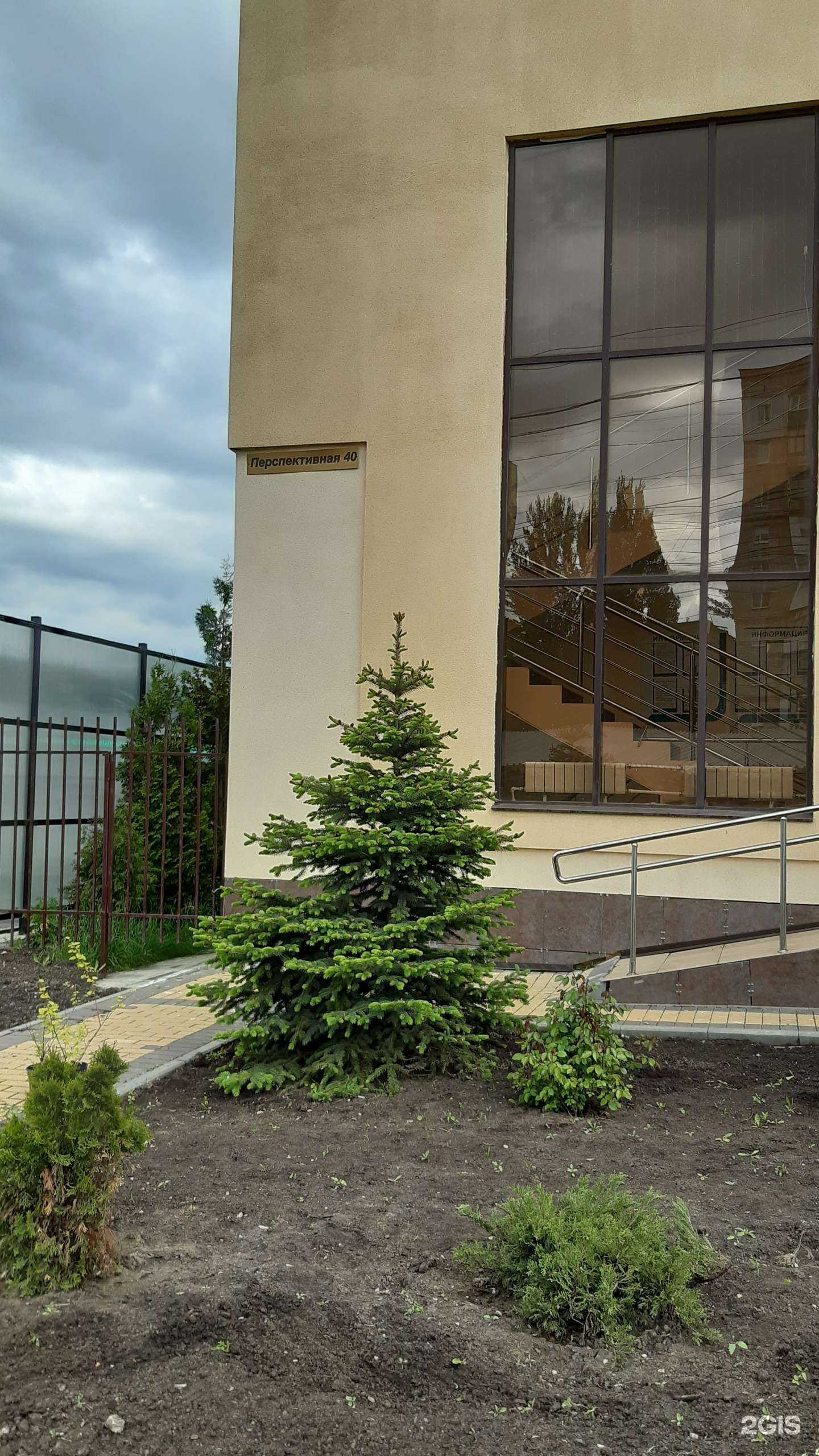 Отзывы на компанию Доктор рядом в г. Саратов c фото