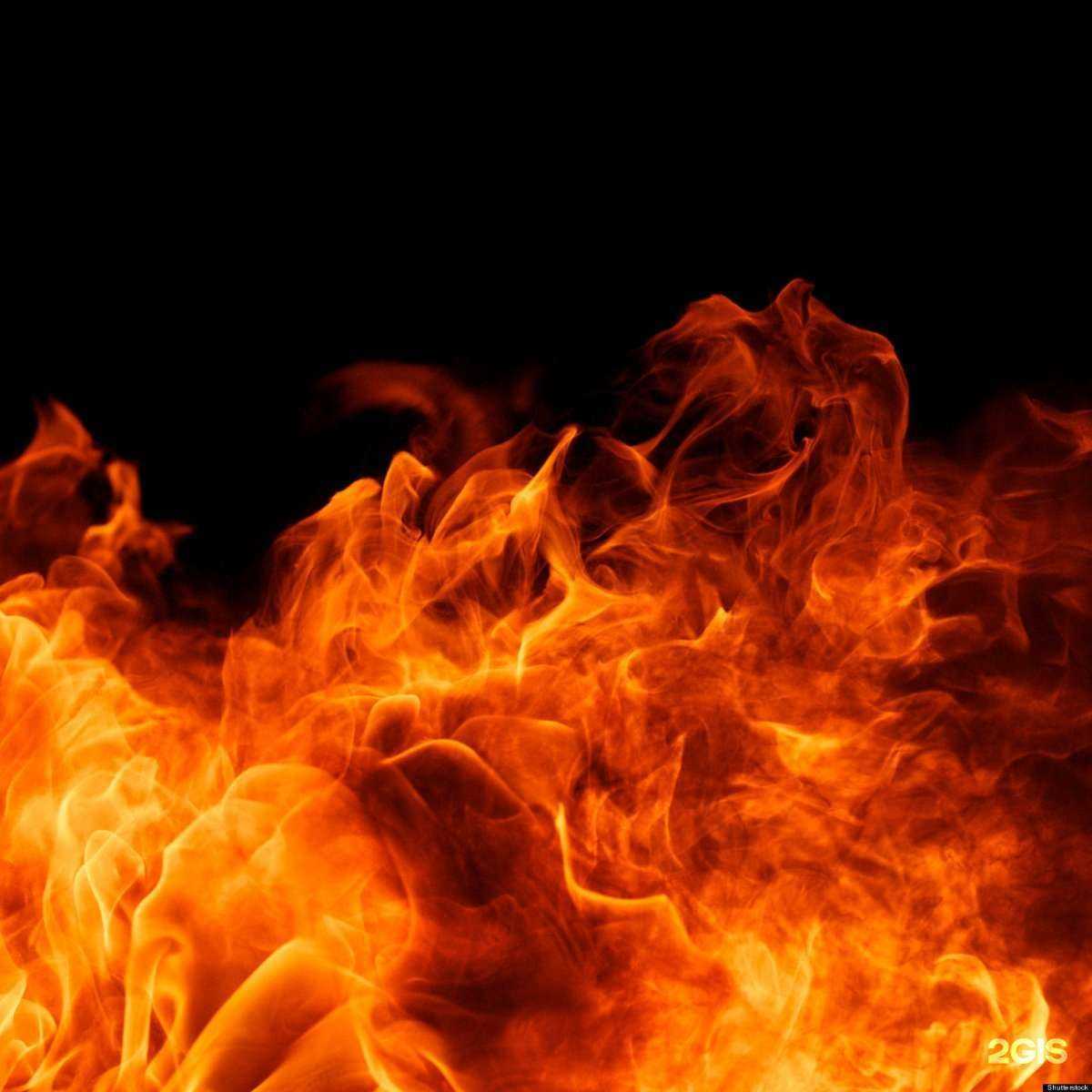 Отзывы на компанию ПромТехБезопасность-Коми в Сыктывкаре c фото