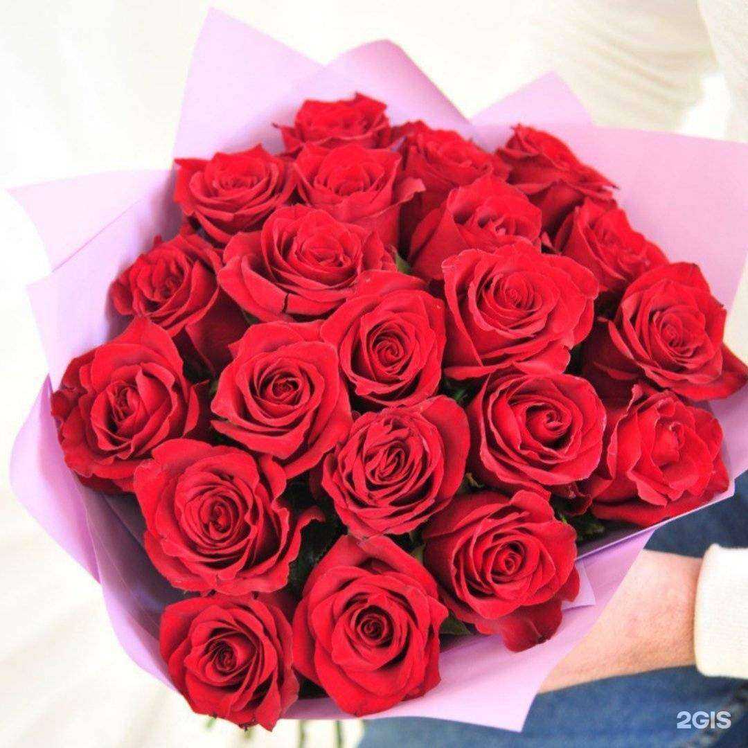 Отзывы на компанию Жасмина в Томске c фото