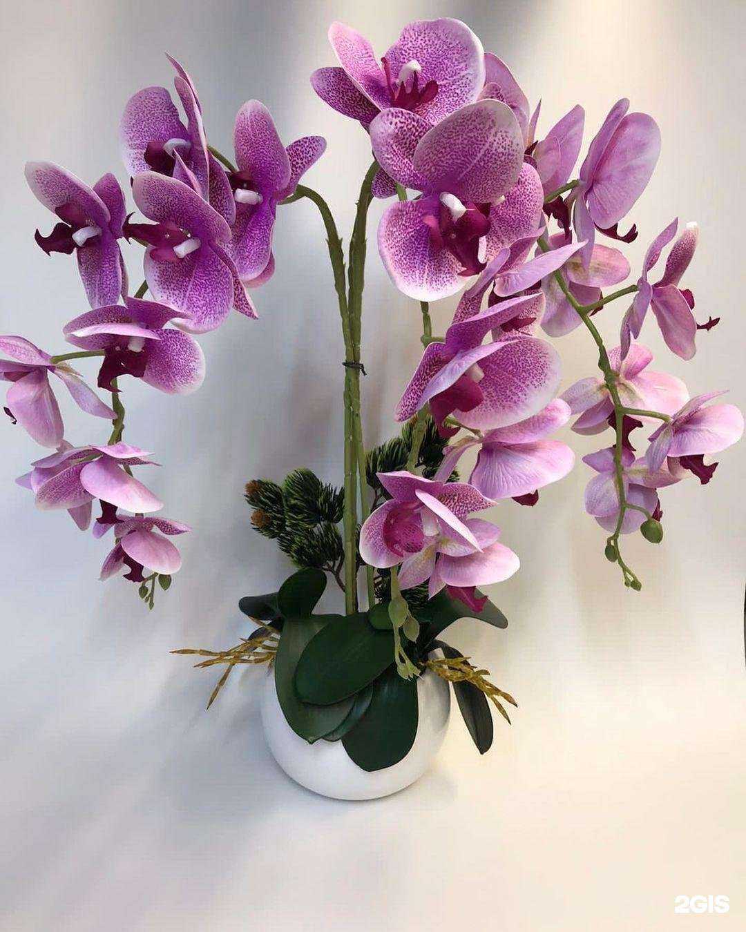 Отзывы на компанию Роза Цветов в Волжском c фото