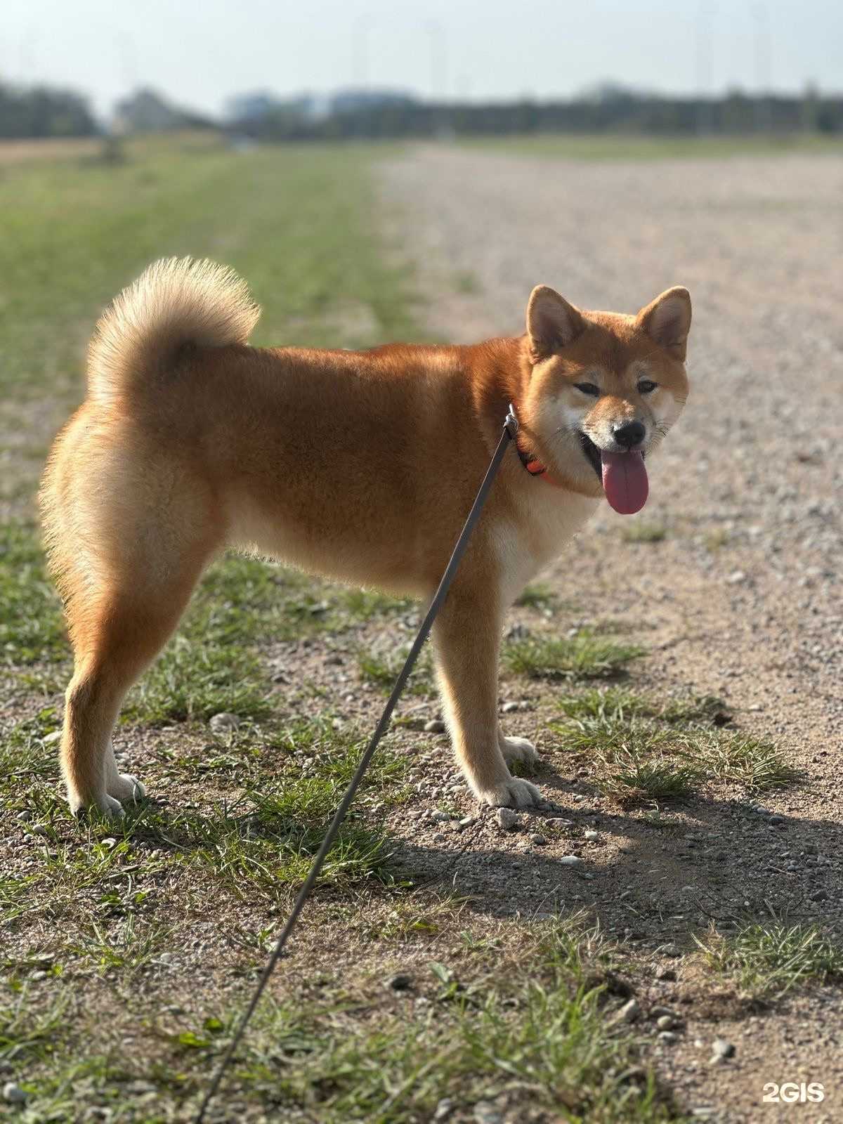 Отзывы на компанию Bubbles в г. Калининград c фото