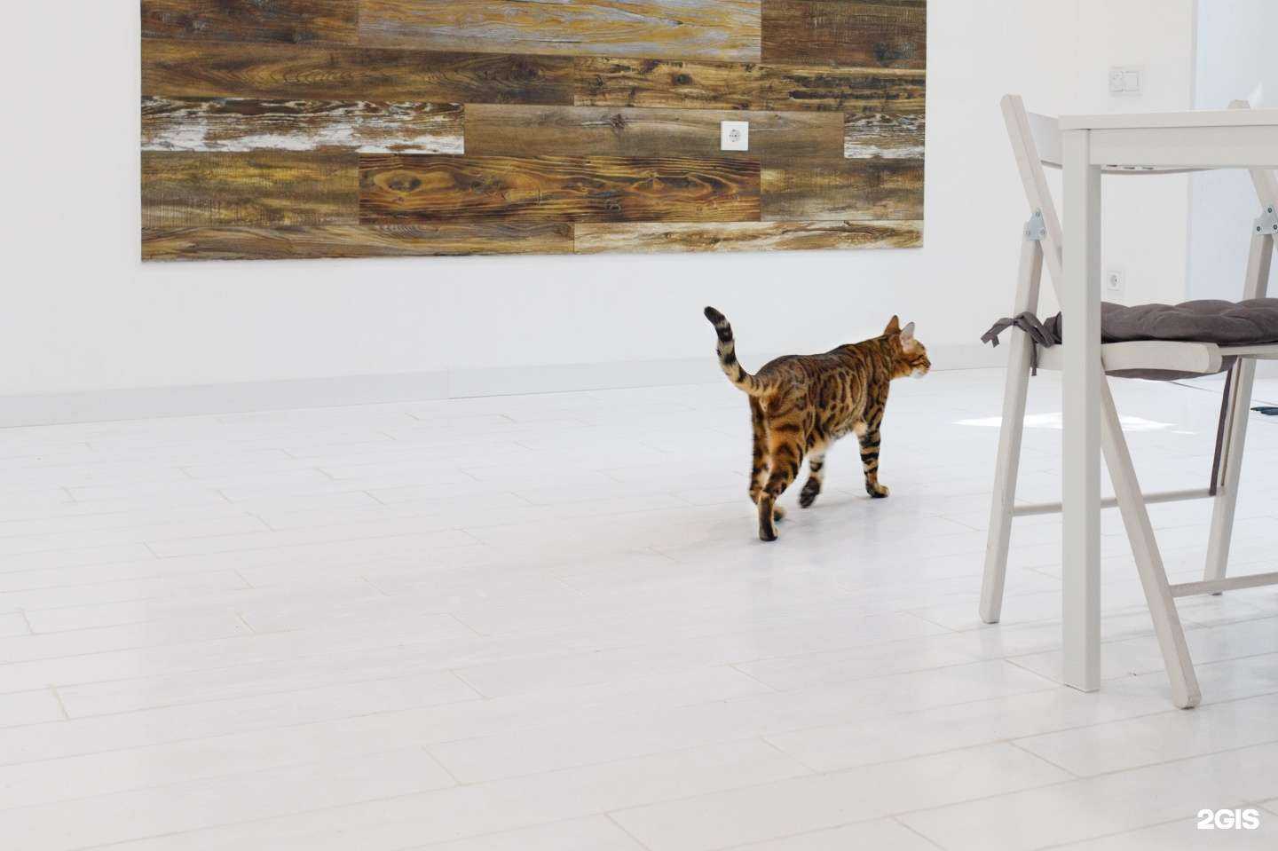 Отзывы на компанию Танос в г. Пермь c фото